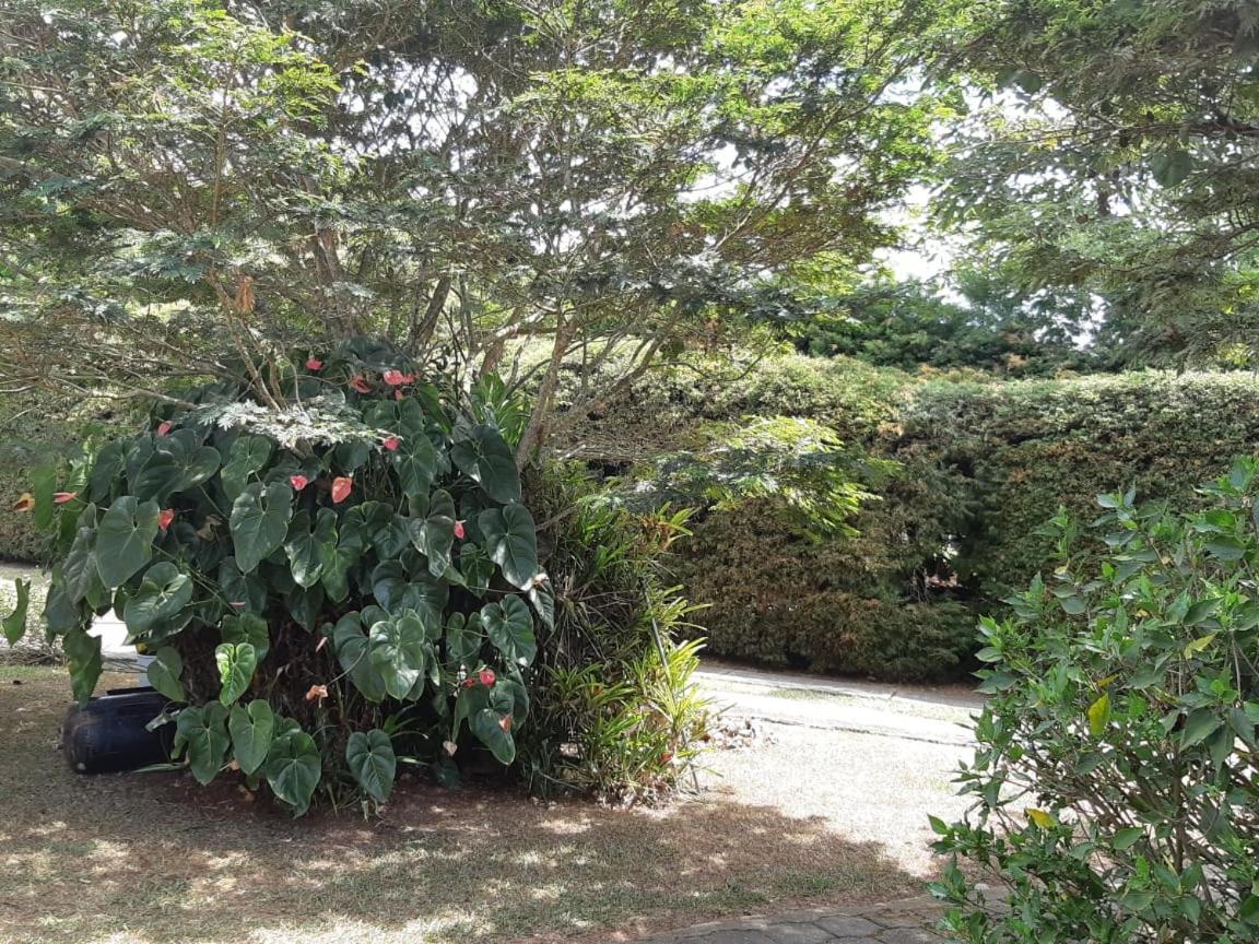 Finca Paraiso Каліма Екстер'єр фото