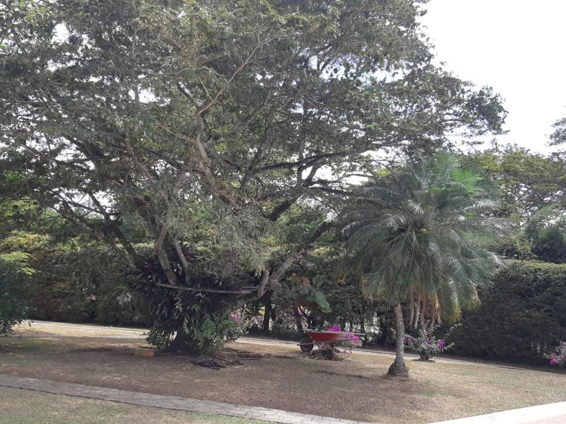 Finca Paraiso Каліма Екстер'єр фото