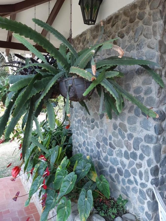 Finca Paraiso Каліма Екстер'єр фото